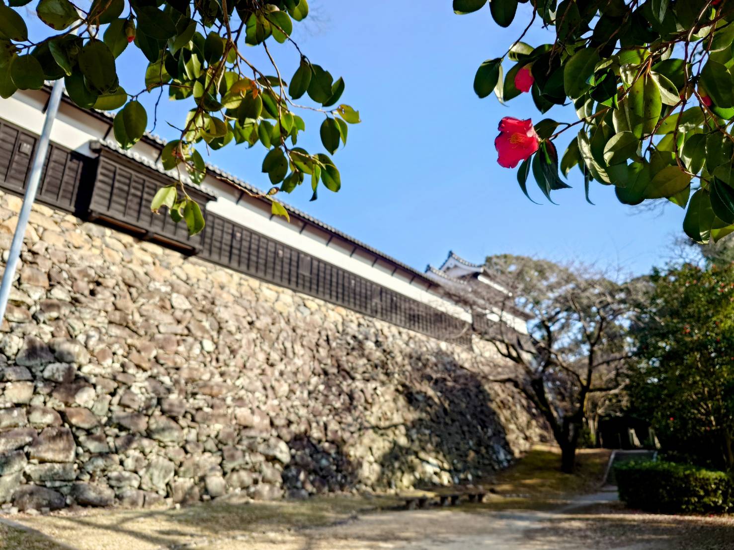令和7年 国指定重要文化財多聞櫓 春の特別公開 - 【公式】福岡城